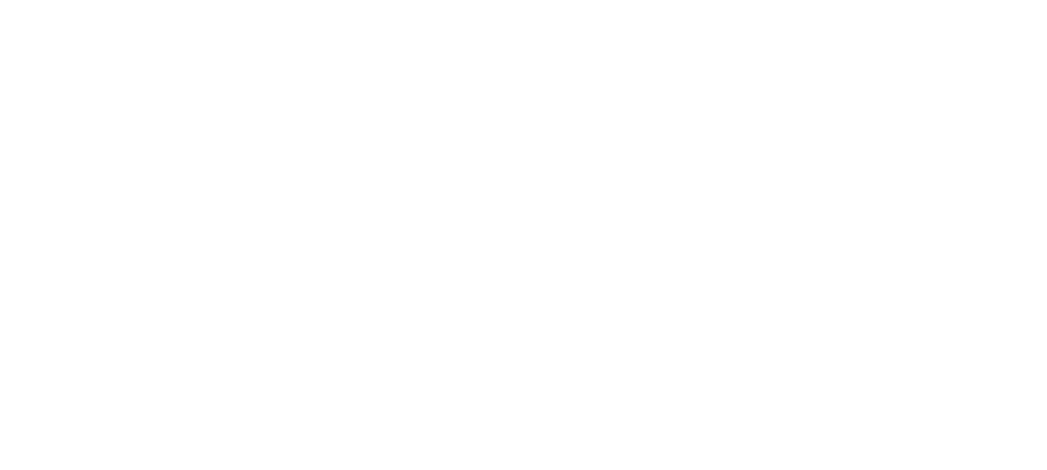 FAITH INTERNATIONAL MISSION